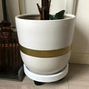 2 Pack of 12.6 Inch Heavy Duty Plant Caddy with Wheels,Rolling Plant Stand Pot Trolley,Wheeled Planter Saucer Tray,Potted Flower Mover Dolly with Casters Round Coaster for Indoor Outdoor by GreenHaven Gardens