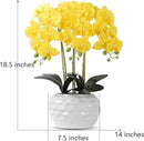 Orchid Artificial Flowers with White Vase Large Silk Faux Phalaenopsis Flowers for Dining Room Table Floral Centerpieces Indoor Decoration,Yellow by CozyNest Decor