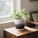 8 Inch Indoor Plant Pot with Drainage Holes and Saucers, Ceramic Planter for Plants, Succulent Orchid Flower Pots(Dark Gray+White) by GreenHaven Gardens