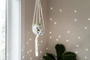 Hanging Disco Ball Planter 8" - with Acrylic Stand and Macrame Plant Hanger - Home Décor, Room Décor, Patio or Boho Décor, Mirror Disco Planter, Disco Decor (4" Mini with Base) by GreenHaven Gardens