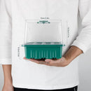 Seed Starter Tray with Grow Light, Seed Starter Kit, Plant Germination Starting Trays with Humidity Dome and Base for Greenhouse Grow Wheatgrass Hydroponic(12 Cells per Tray)(with Grow Lights) by GreenHaven Gardens