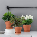 Yishang 8 Inch Clay Pot for Plant with Saucer - 3 Pack Large Terra Cotta Plant Pot with Drainage Hole, Clay Planters Pot, Terracotta Pot for Indoor Outdoor Plant,Round Flower Planter Pots for Plants by GreenHaven Gardens