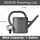 Watering Can 1 Gallon for Garden, Indoor Plants, Outdoor Plant House Flower, Large Long Spout with Sprinkler Head (Grey) by GreenHaven Gardens