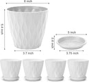 6 inch Plant Pots, 5 Pack Flower Pots Outdoor Indoor, Planters with Drainage Hole and Tray Saucer. by GreenHaven Gardens