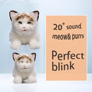 Blinks, Meows & Purrs Realistic Stuffed Cat Interactive Companion Robot Pets 14" by TinyTreasures Baby Boutique