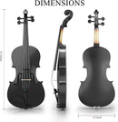 4/4 Beginner Violin Kit for Adults, Complete Full Size Violin Set with Portable Case, Bow, Rosin, Black by TinyTreasures Baby Boutique