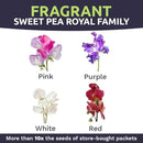 Sweet Pea Seeds Royal Mix - Bulk 1 Ounce Packet - Over 350 Seeds - Large Fragrant Lavender, Purple, Red, Pink and White Blooms by GreenHaven Gardens