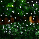 Solar Christmas Lights Outdoor, 33ft 100 LED Solar Fairy String Lights 8 Modes Waterproof Xmas Lights for Garden, Patio, Home, Party, Wedding, Holiday, Tree, Bush, Wreath, Outdoor Decor (White) by GreenHaven Gardens
