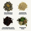 Cute Farms Terrarium Starter Kit | Moss, Vermiculite, Soil, Pebbles, Plant Food, Finishing Tools, Build and Care Guide | DIY Succulent Terrarium for Adults and Kids (Medium) by CozyNest Decor