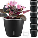 Self-Watering Pots for Indoor Plants, 6-Pack 6.7'' Self Watering Planter with Drainage Holes, Small African Violet Pots with Water Indicator, Clear Wick Pot, Black by CozyNest Decor
