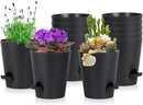 12 Pack 4 Inch Self Watering Plant Pots with Drainage and Saucers，Plastic Flower Pots for Indoor and Outdoor Plants, Nursery Planters for Houseplants and Herbs Black, 4 inch 12pcs by GreenHaven Gardens