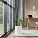 Docrin Ceramic Planters Indoor: 8 Inch Plant Pots with Drainage Holes for Home/Office - White Honeycomb by GreenHaven Gardens