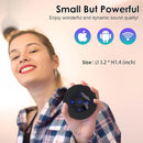 XLEADER Small Bluetooth Speaker (Travel Case Provided) Portable Wireless, HD Sound&Rich Bass, Touch Design, 12H Playtime, Support Aux Input, Micro SD, Mic, for Laptop PC Office Bathroom, Car, Gifts by TinyTreasures Baby Boutique
