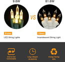 Brizled Christmas Lights Warm White, 2 Pack 33ft 100 LED Christmas String Lights, 120V UL Certified Connectable Xmas Tree Lighting Mini Xmas Light Set for Holiday Tree Home Party Indoor Outdoor Decor by TinyTreasures Baby Boutique