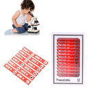 Prepared Microscope Slides for Kids, 48pcs Plastic Animals Insects Plants Flowers Sample Specimens for Students Children Homeschooling Biology Science Programs by TinyTreasures Baby Boutique