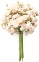 Floroom Ranunculus Artificial Flowers 18 Pcs Champagne Faux Silk Mini Ranunculus Bulk Fake Wedding Filler Flowers for DIY Cream Bouquets, Centerpieces, Bridal Shower Decorations & Arrangements by CozyNest Decor