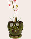 vensovo 5 Inch Ceramic Orchid Pots with Holes and Saucers - 1 Pcs Small Succulent Pot for Repotting, Garden Flowerpots for Plants Indoor and Outdoor Promotes Air Circulation, Yellow Mixed Brown by GreenHaven Gardens