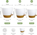 10/9/8 inch Self Watering Pots, Set of 3 Plastic Planters with Mesh Drainage Holes and Deep Reservoir for Indoor Outdoor Garden Plants and Flowers, White with Brown by GreenHaven Gardens