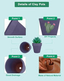 vensovo 48 Pcs 2" Tiny Terracotta & Terra Cotta Pots with Drainage - Purple Small Mini Clay Ceramic Pottery Planter Ideal for Indoor/Outdoor Plants, Crafts, Wedding Favors by GreenHaven Gardens