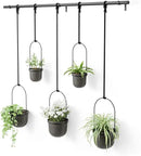 Umbra Triflora Hanging Planter for Window, Indoor Herb Garden, Set of 5, Black by GreenHaven Gardens