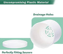 D'vine Dev 4 Pack 6.5 Inch Modern Plastic Plant Pots, Small Garden Planters for Plant with Drainage Holes and Saucers, White Color, 74-Z-L-2 by GreenHaven Gardens