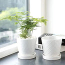 Plant Pots Indoor –5 inch Ceramic Flower Pot with Drainage Hole and Ceramic Tray - Gardening Home Desktop Office Windowsill Decoration Gift, Set of 4 - Plants NOT Included (White) by GreenHaven Gardens