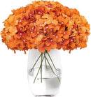 Tifuly Hydrangea Artificial Flowers -12 pcs Realistic Fake Hydrangea Silk Flowers with Stems Faux Hydrangea Flowers Heads for Office Home Party Wedding Centerpiece DIY Floral Decor (Orange) by CozyNest Decor