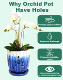 vensovo 6 Inch Ceramic Orchid Pot - Orchid Pot with Holes for Repotting, Ceramic Planter with Saucer for Indoor/Outdoor Plants, Blue by GreenHaven Gardens