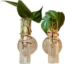 The Little Window Propagator | Window Propagation Station with Removable Glass Tubes, Indoor Plant Clippings, Cut Flowers, Herbs, Succulents | Home Decor | Plant Lover Gift (2) by GreenHaven Gardens