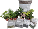 Hirt's Terrarium Kit with 5 Terrarium Plants and 5 Ferns by CozyNest Decor
