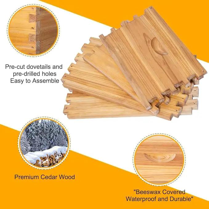 POLLIBEE 10 Frame Bee Hive,Beeswax Coated Beehive Kit for Bee Keeper,Complete Beehive Include 1 Deep Brood Bee Box and 1 Medium Bee Hive Box with Frame and Foundation, photo 3 of 7