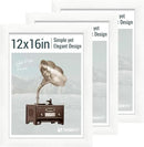 12x16 Picture Frame 3 pk - White Woodgrain, HD Tempered Glass, Wall Gallery Photo Frame by CozyNest Decor