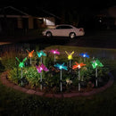 Anordsem Solar Lights Outdoor Decorations: Garden Stake Light Waterproof for Yard Decor Outside - LED Dragonfly Hummingbird Butterfly Lamp for Patio Pathway Home by GreenHaven Gardens