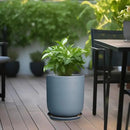 10 Inch Plant Pot - Ceramic Pot for Indoor Plants Outdoor Planter Large Flower Pot with Drainage Hole and Saucer Cylinder Gray by GreenHaven Gardens