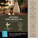 Gya Labs Pine Essential Oils for Diffuser - 0.34 Fl Oz - 100% Pure Natural Fall Pine Oil for Skin, Body Massages & Candle Making Scent by CozyNest Decor