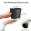 6 inch Self Watering Pots for Indoor Outdoor Plants, 6 Pack Flower Plant Pots with Drainage Holes and Clear Reservoirs, Visible Water Level, Plastic Planters with Wicking Rope, Black by CozyNest Decor