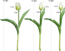 15pcs Artificial Tulips Flowers, Fake Tulips Real Touch, Faux Latex Bouquets, for Party Wedding Home Room Decoration (White) by CozyNest Decor