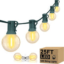 25FT LED Outdoor Christmas String Lights Waterproof, Hanging G40 Globe Patio Lights with 27 LED Shatterproof Warm White Bulbs, Outdoor Christmas Decorations Light for Wedding Party Backyard, Green by TinyTreasures Baby Boutique