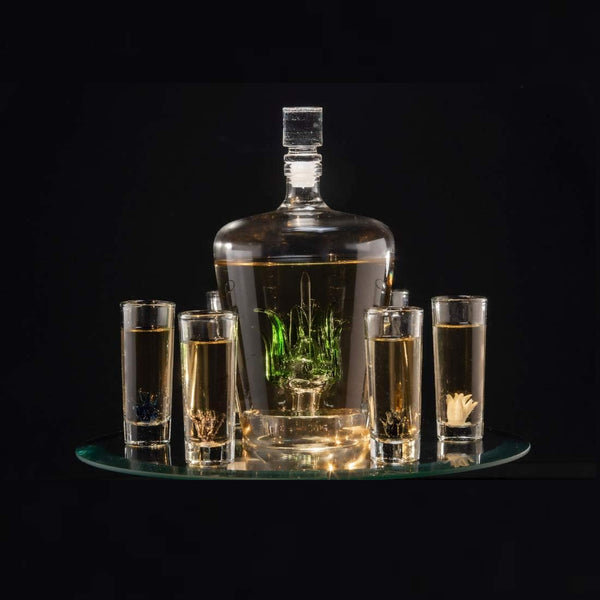 Tequila Decanter Tequila Glasses Set, 6 Agave Sipping Shot Glass (Agave), photo 2 of 9