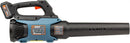 SENIX X2 20 Volt Max* 2-Piece Cordless Power Tool Combo Kit with Battery Powered 10-Inch String Trimmer and Variable Speed Leaf Blower, Includes 4.0 Ah Battery & Charger (S2K2B1-03) by GreenHaven Gardens