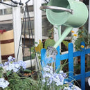 Metal Watering Can, One Gallon Watering Cans Stainless Steel for Outdoor Indoor Garden Plants Watering (Cream Green) by GreenHaven Gardens