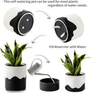 Nihow Self Watering Plant Pot: 6 Inch Ceramic Planter with Drainage Hole & Water Storage Plus for Indoor & Outdoor Plants - Cylinder Round Flower Pot for Succulent/Herbs/Violets - White & Wave Black by CozyNest Decor