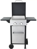 2-Burner Propane Gas BBQ Grill with SS Plancha, 24,600 BTU Output, Wire Enamel Cooking Grids, Foldable Side Table and Hanging Basket, Compact Stainless Steel Grill by GreenHaven Gardens