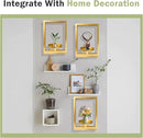 Picture Frame Plant Holder, Wall Mount Plants shelf Indoor Outdoor, Metal Hanging Planters Stand Decor, Window Planter Hanger Shelves, Modern Floating Ornament Rack Art for Home & Garden(Gold 3pc) by GreenHaven Gardens