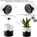 Nihow Self Watering Plant Pot: 6 Inch Ceramic Planter with Drainage Hole & Water Storage Plus for Indoor & Outdoor Plants - Cylinder Round Flower Pot for Succulent/Herbs/Violets - White & Wave Black by GreenHaven Gardens