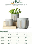 LE TAUCI Fluted Ceramic Planters Set of 3 – 8.3/7 / 5.7 in Star White Reactive Cylinder Indoor Plant Pots with Drainage Plug & Mesh, Glossy Stoneware Flower Pots for Succulents Herbs by CozyNest Decor