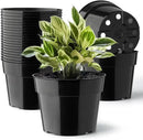 20 Pack Plant Pots, 6 Inch Plastic Plant Planter with Saucers and Mesh Mats, Durable Flower Pots with Drainage Holes Perfect for Indoor Outdoor, Black by GreenHaven Gardens