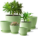 Plant Pots with Drainage Holes and Tray Saucer - 7.5/6.5/5.5/4.9/4.2/3.5 Inches Flower Pots - 6 Pack Thick and Sturdy Planters for Indoor Plants Such As Orchid, Succulent and Herbs, Green by GreenHaven Gardens
