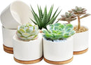 ZOUTOG Plant Pot 4 Inch, Ceramic Succulent Pots with Drainage Hole & Bamboo Tray, Pack of 6 White Small Flower Pots for Home, Office, Indoor or Outdoor Decor - Plants Not Included by GreenHaven Gardens