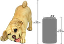 Design Toscano QM14003 Lover Boy Puppy Dog Statue,full color by GreenHaven Gardens